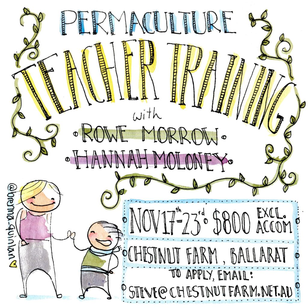 Flyer for permaculture teacher training